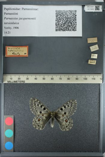 Media type: image;   Entomology 174800